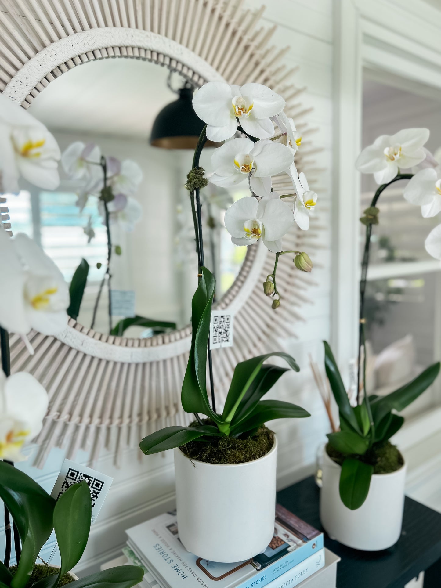 Individual orchids trio