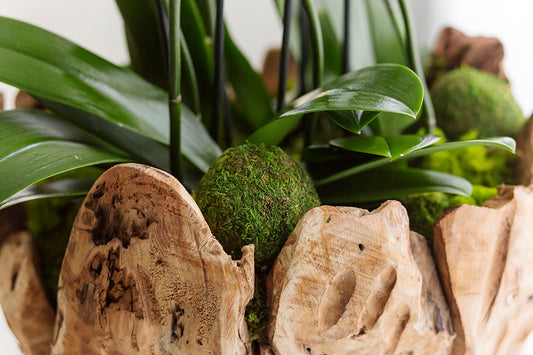 Wooden Vase