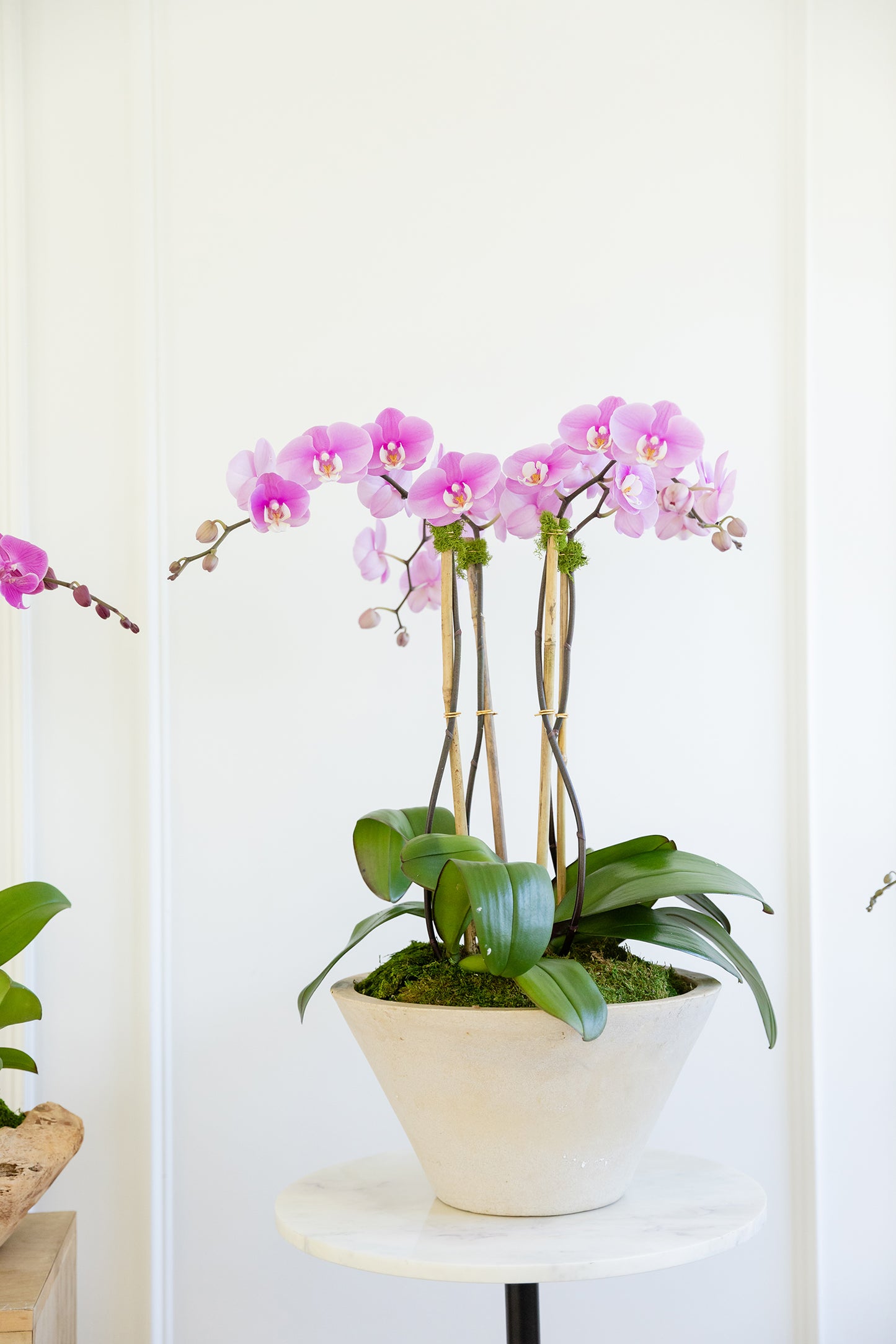 Concrete urban creation