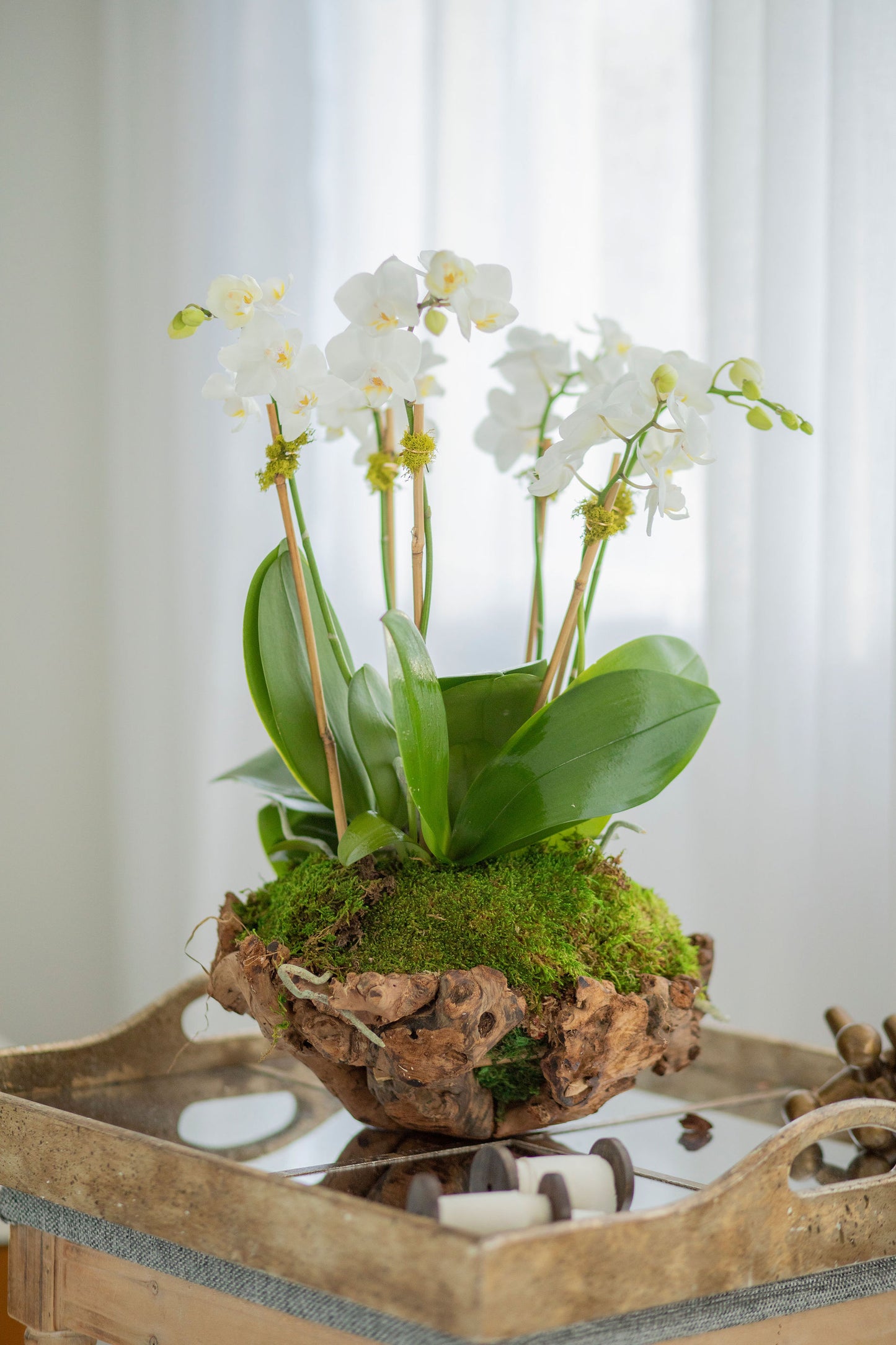 Mini Unique wood Vase