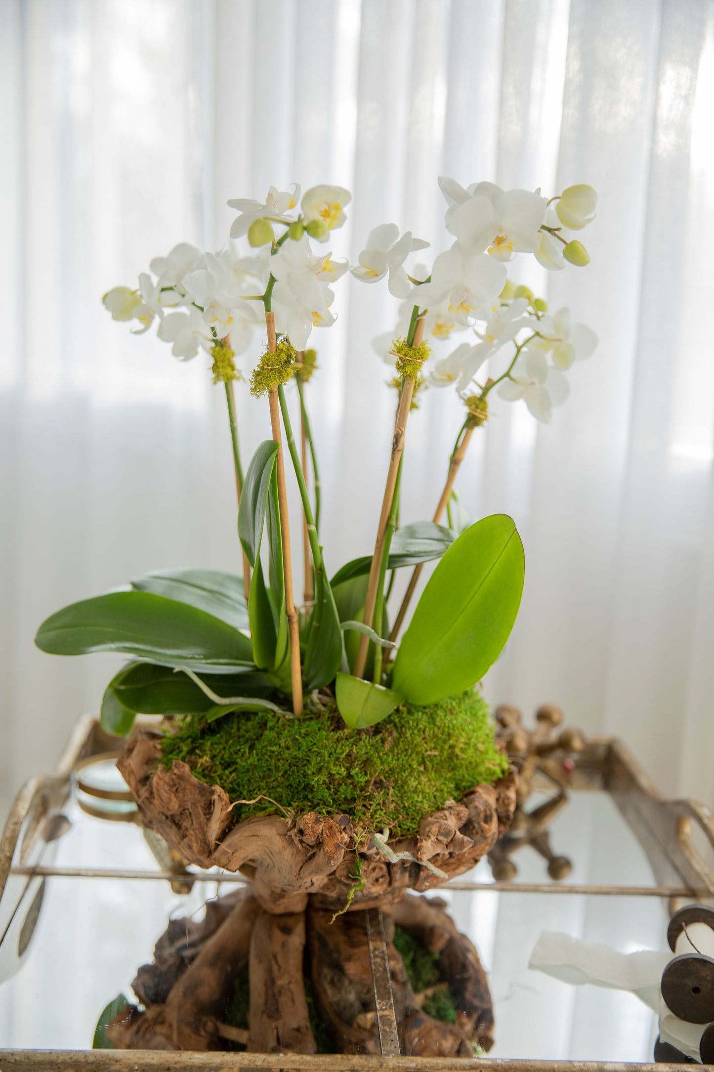 Mini Unique wood Vase