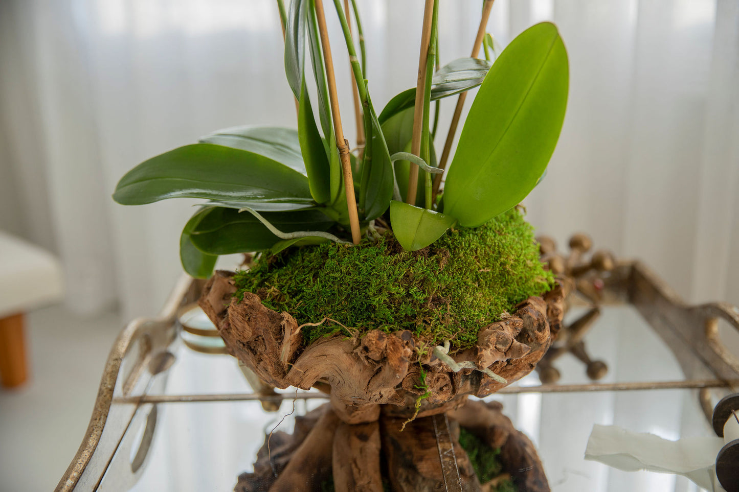 Mini Unique wood Vase