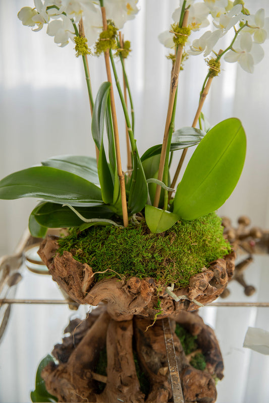 Mini Unique wood Vase