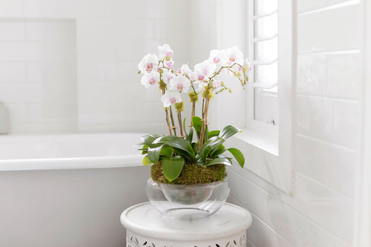 Bubble vase