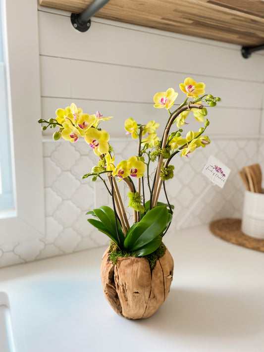 Mini Wood Vase