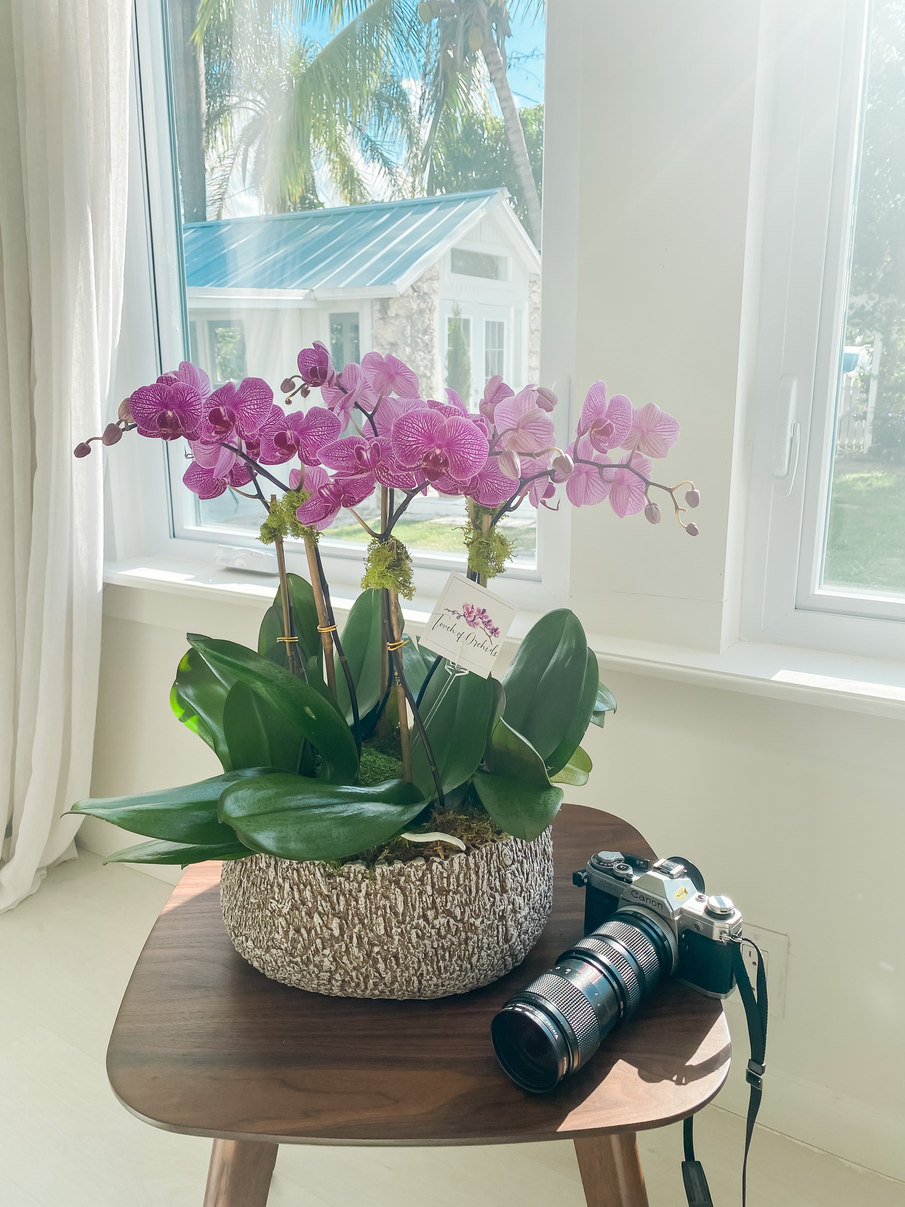 Nature Orchid pot Ø 13cm transparent 1l