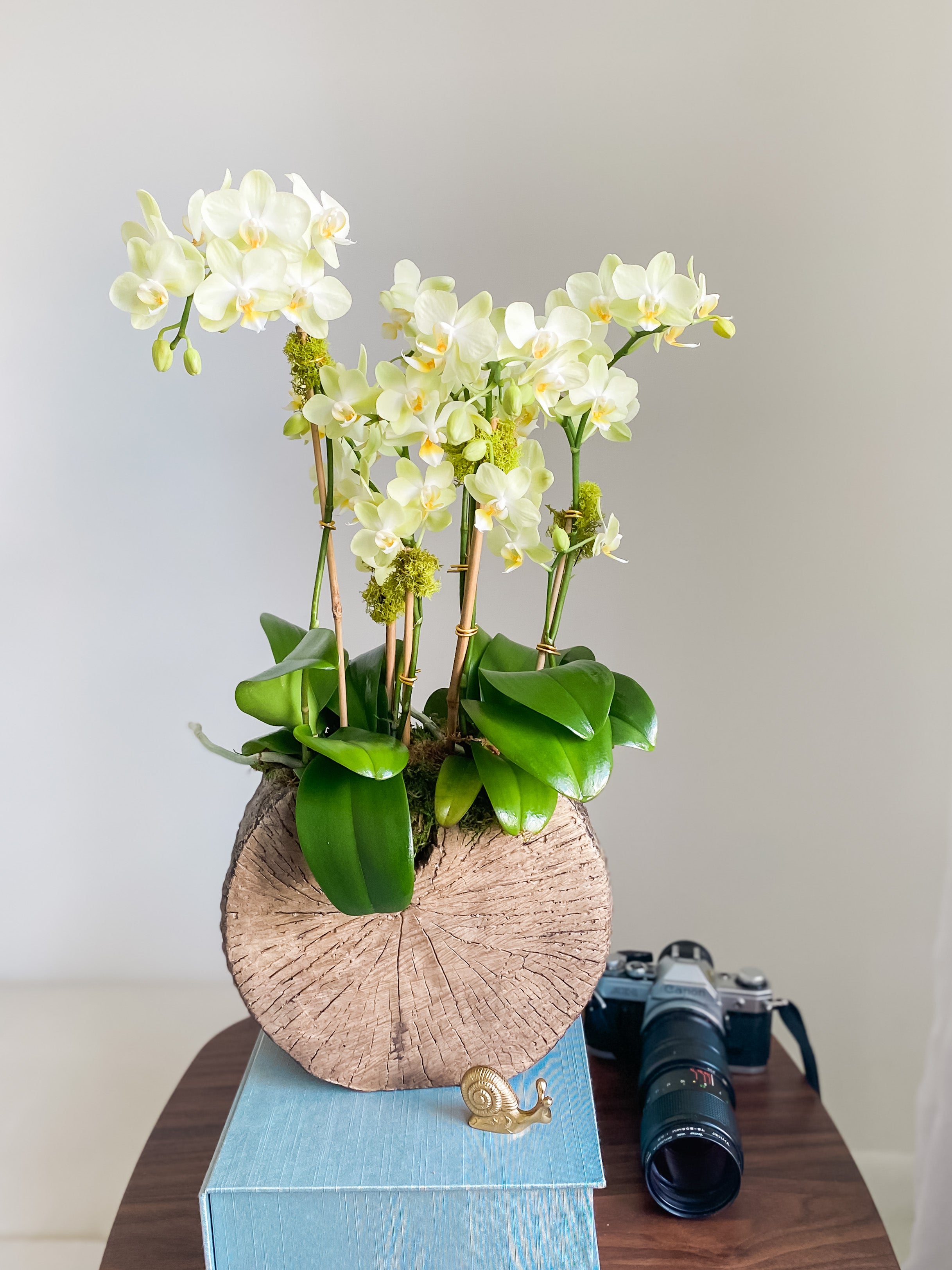 Wood inspired – Touch of Orchids