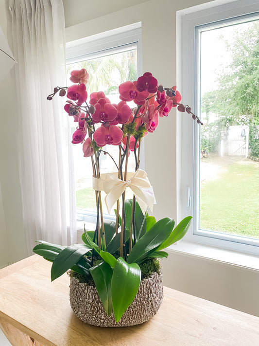 Nature Inspired