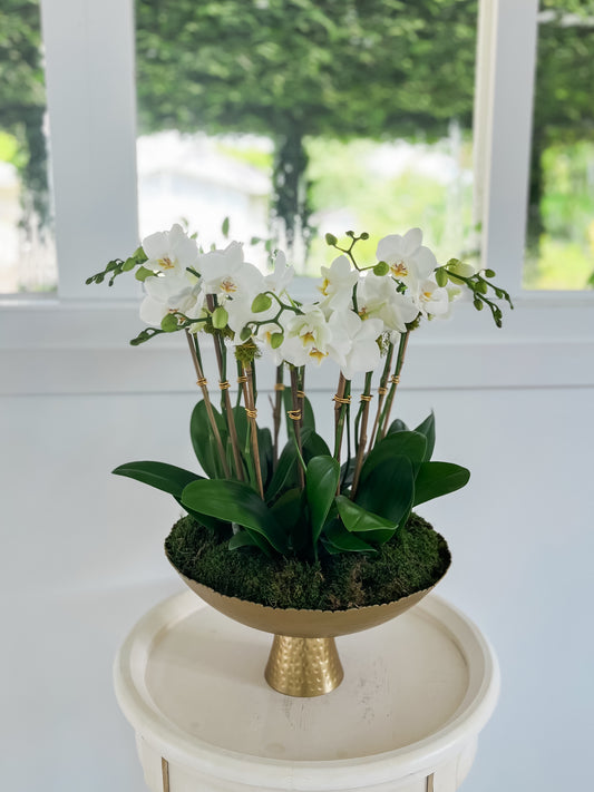 Golden Garden