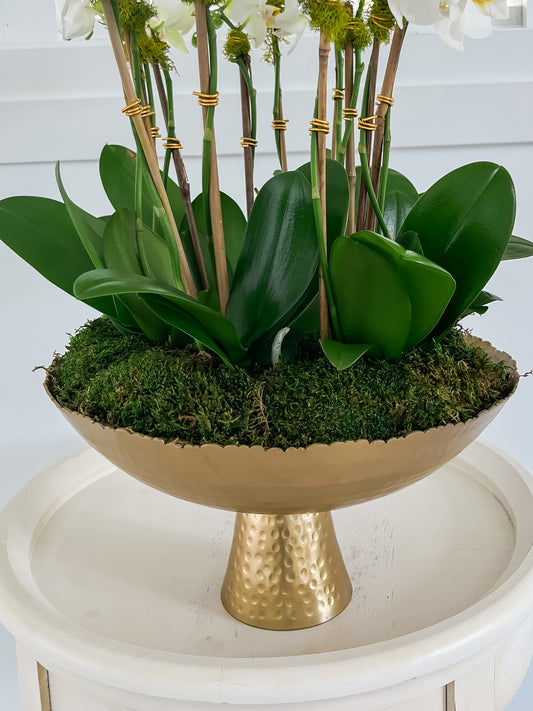 Golden Garden