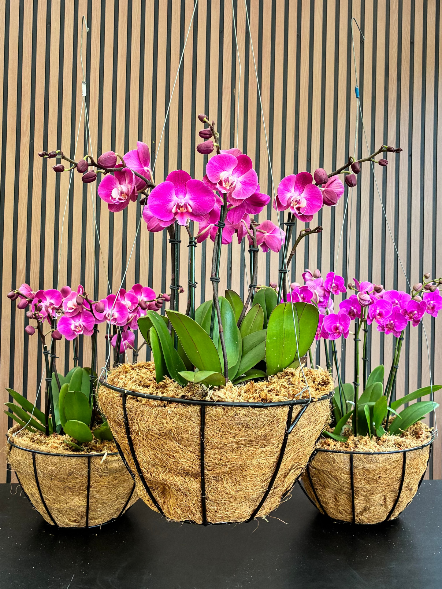 Orchid basket