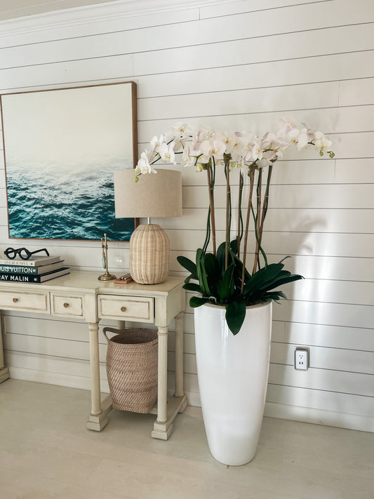 Ethereal blooms
