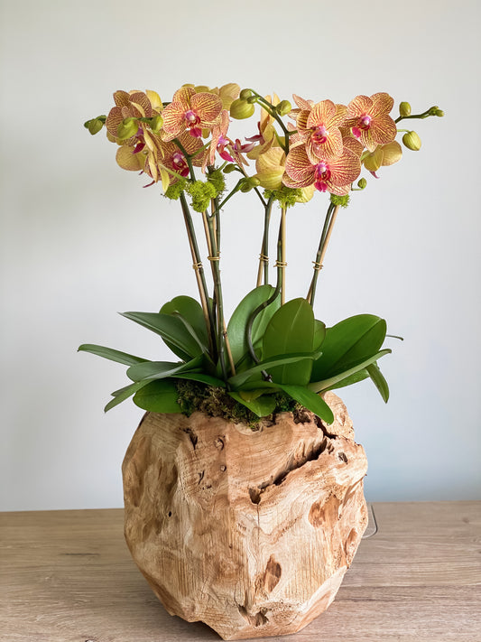 Medium Wood Vase