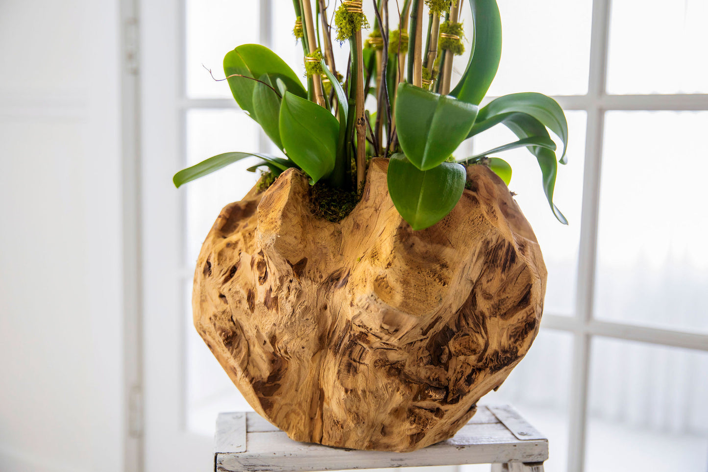 Medium Wood Vase