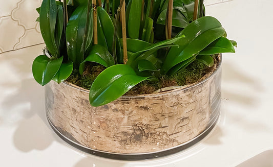 LargeCrystal wood