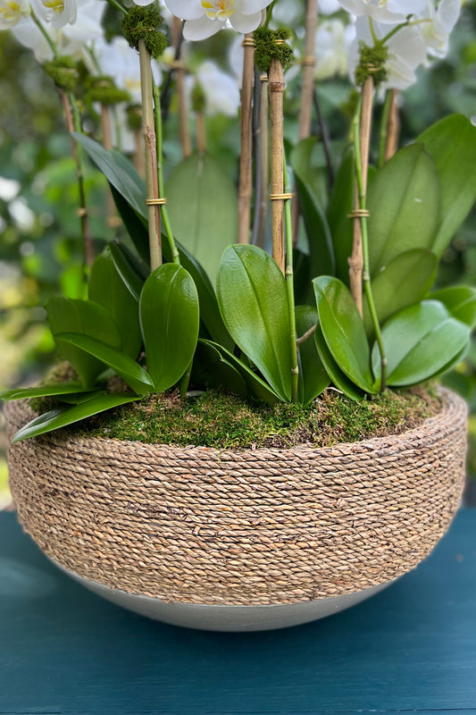 Paraiso - Rattan Orchid Arrangement